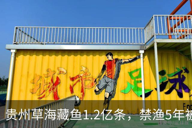 贵州草海藏鱼1.2亿条，禁渔5年被啃成秃海！长江能重蹈覆辙吗？